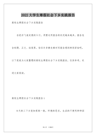 2024大学生寒假社会下乡实践报告_1