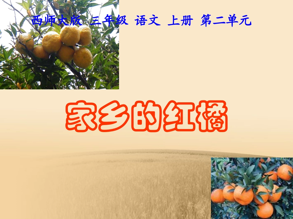 (西师大版)三年级语文上册课件_家乡的红橘_2_第1页