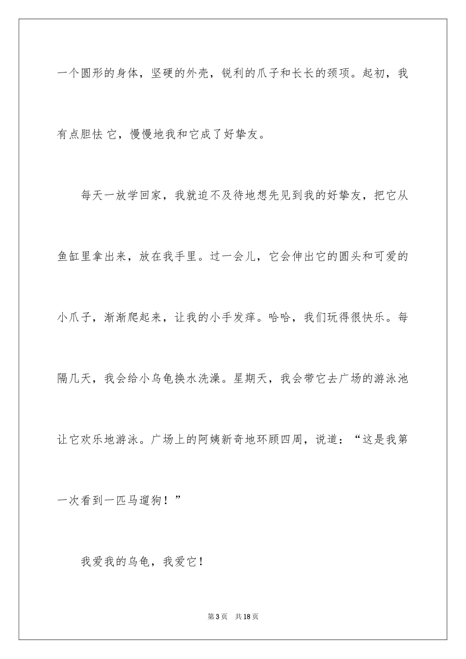 2024乌龟作文_1_第3页