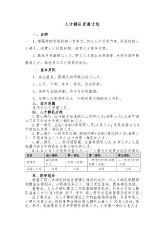 人才梯队发展计划