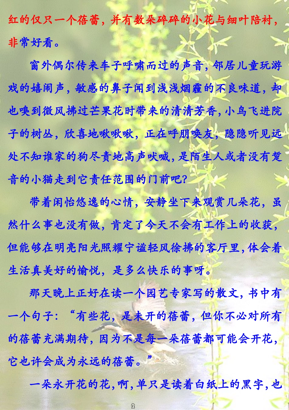 花未眠-朵拉_第2页