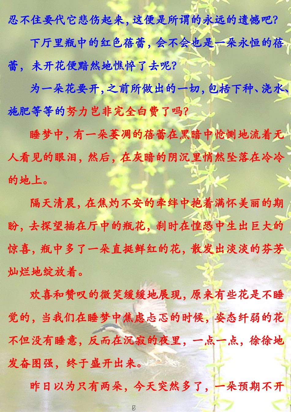 花未眠-朵拉_第3页