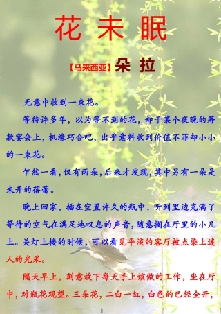 花未眠-朵拉