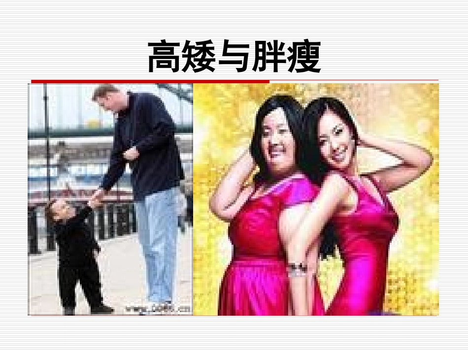 高矮与胖瘦PPT_第2页