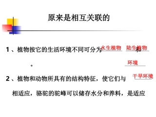 教科版小学科学六年级上册第四单元《原来是相互关联的》课件