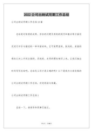 2024公司出纳试用期工作总结_6