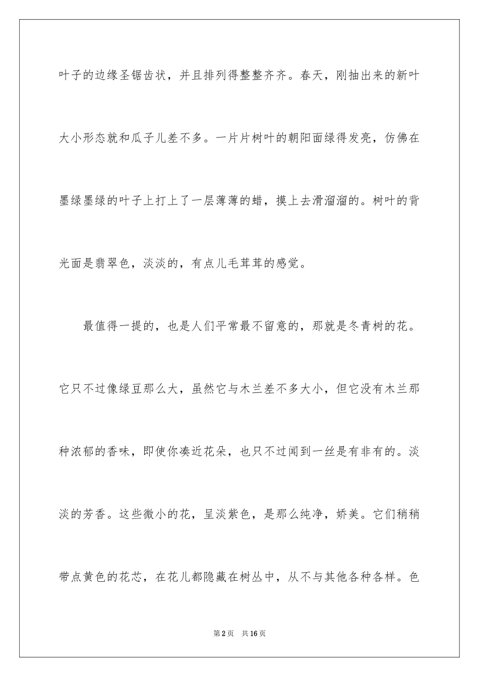 2024写冬青的作文_61_第2页