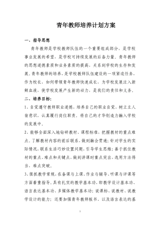 青年教师培养计划及方案