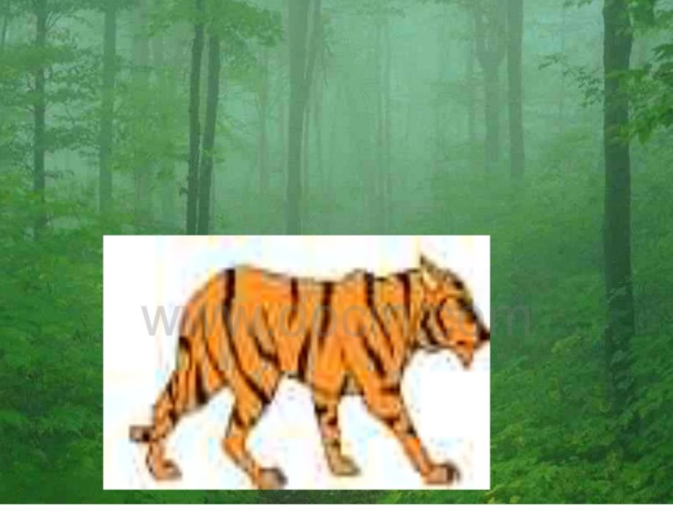 小动物唱歌课件_第3页