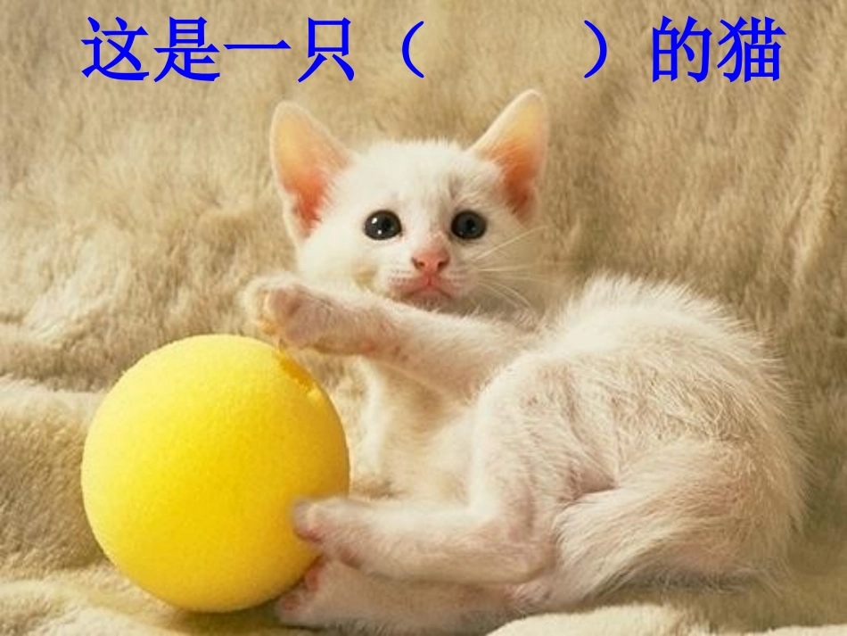 描写一种小动物1_第2页