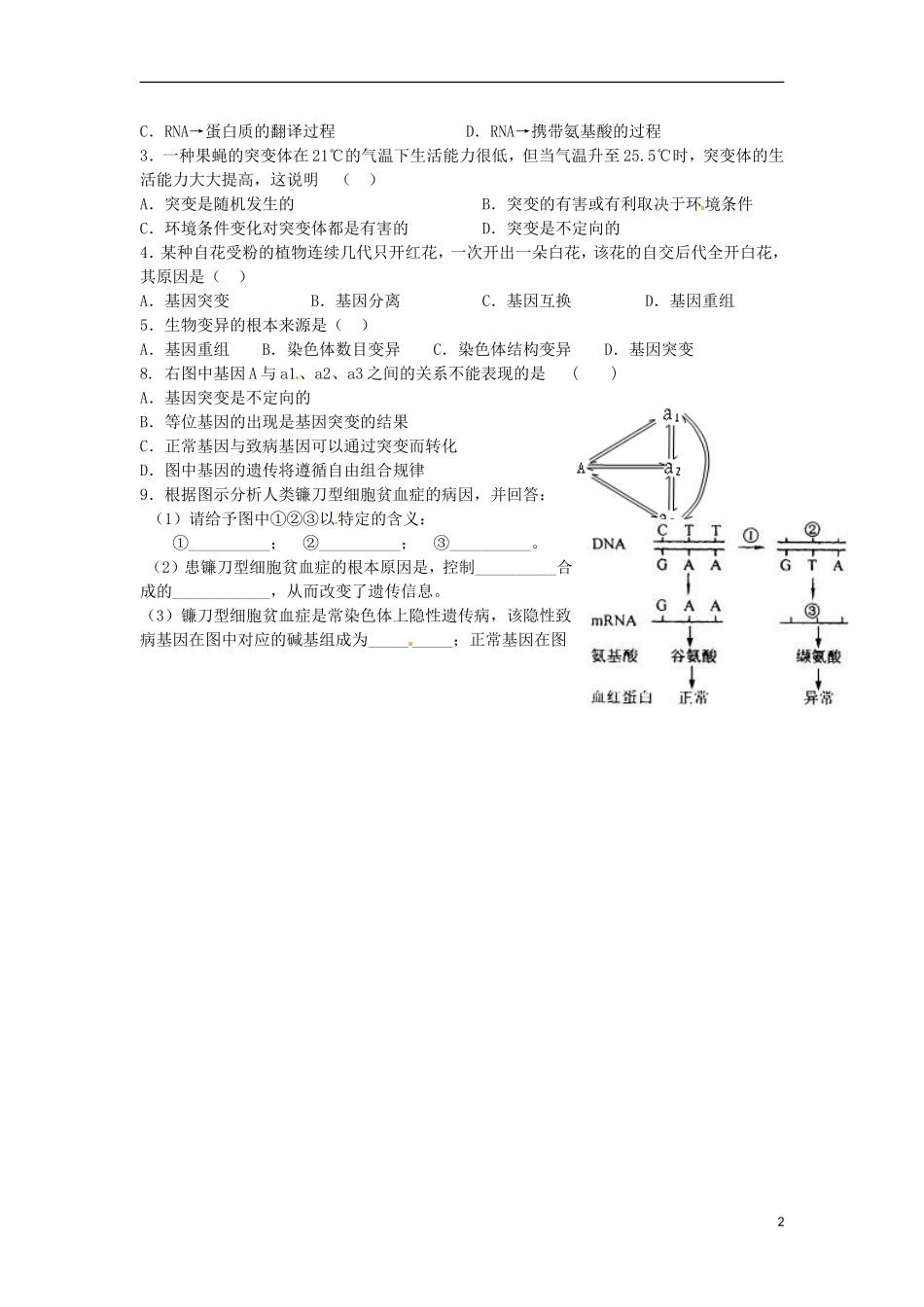 江苏省海头高级中学高中生物 44基因突变第一课时导学案 人教版必修2_第2页