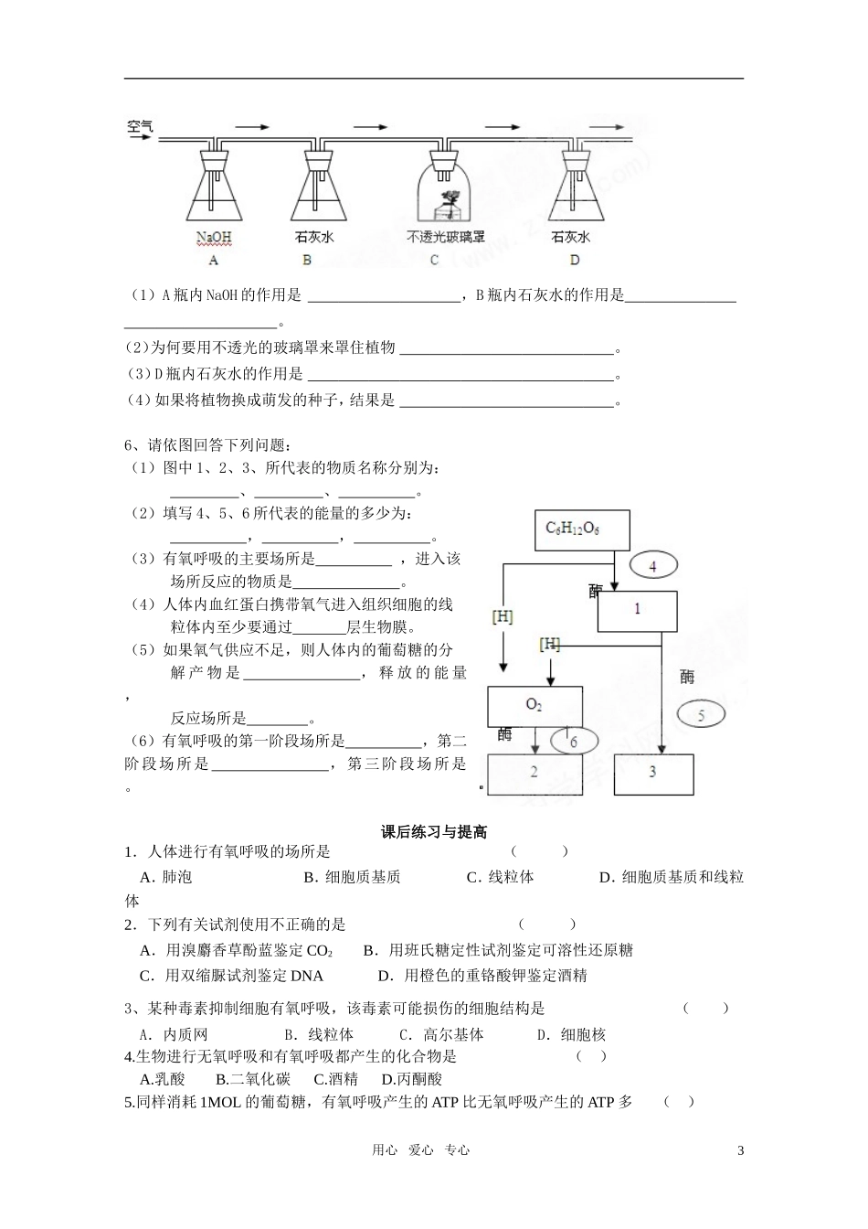 山东临清市高中生物 第五章第3节《ATP的主要来源——细胞呼吸（1）》导学案 新人教版必修1_第3页