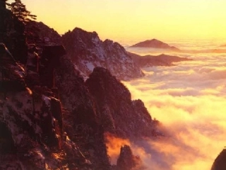 黄山奇石尚景丽