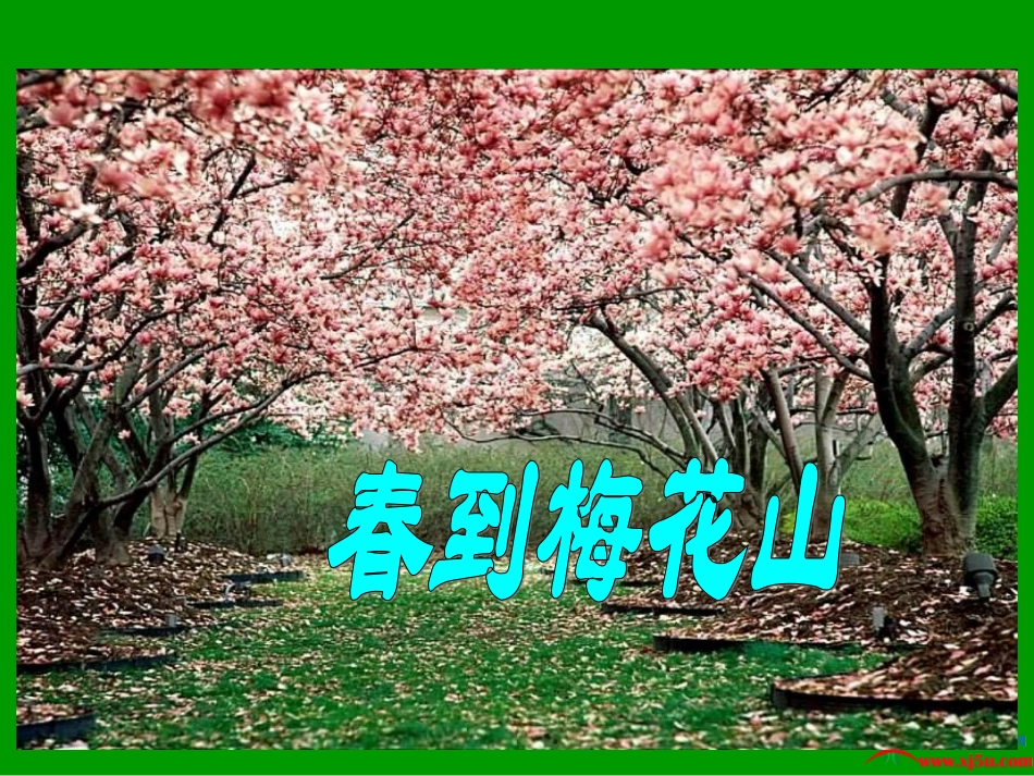 《春到梅花山》课件(苏教版一年级语文下册课件)_第1页