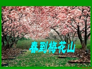 《春到梅花山》课件(苏教版一年级语文下册课件)