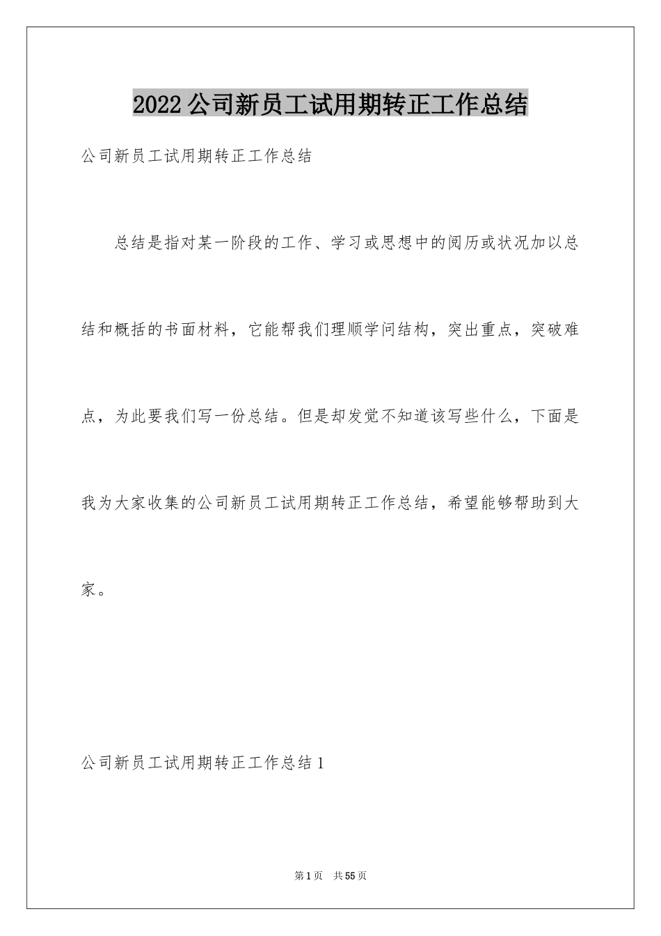 2024公司新员工试用期转正工作总结_1_第1页