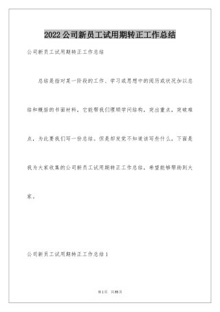 2024公司新员工试用期转正工作总结_1