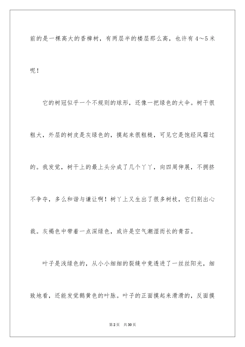 2024以树为话题的作文_2_第2页