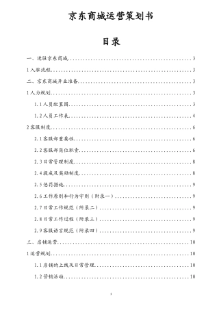 京东商城运营策划书