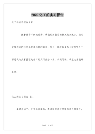 2024化工的实习报告_34