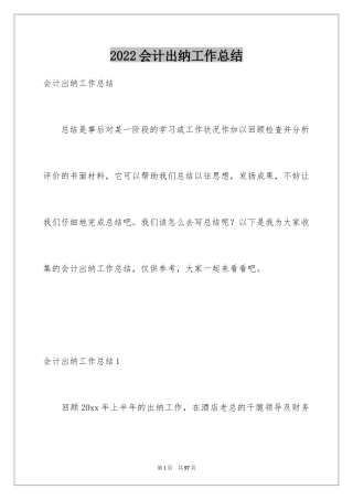 2024会计出纳工作总结