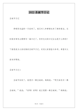 2024圣诞节日记_48