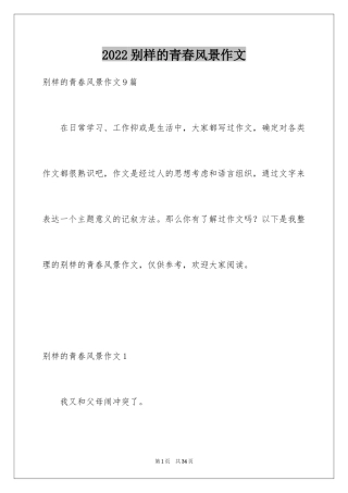 2024别样的青春风景作文_1