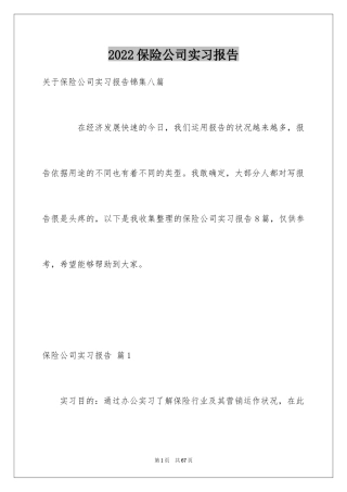 2024保险公司实习报告_35