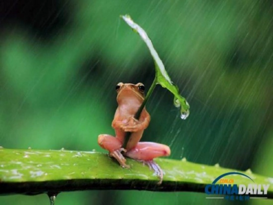 我不是弱小的_第3页