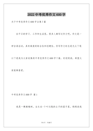 2024中考优秀作文600字