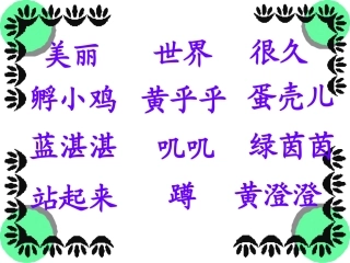 世界多美呀课件