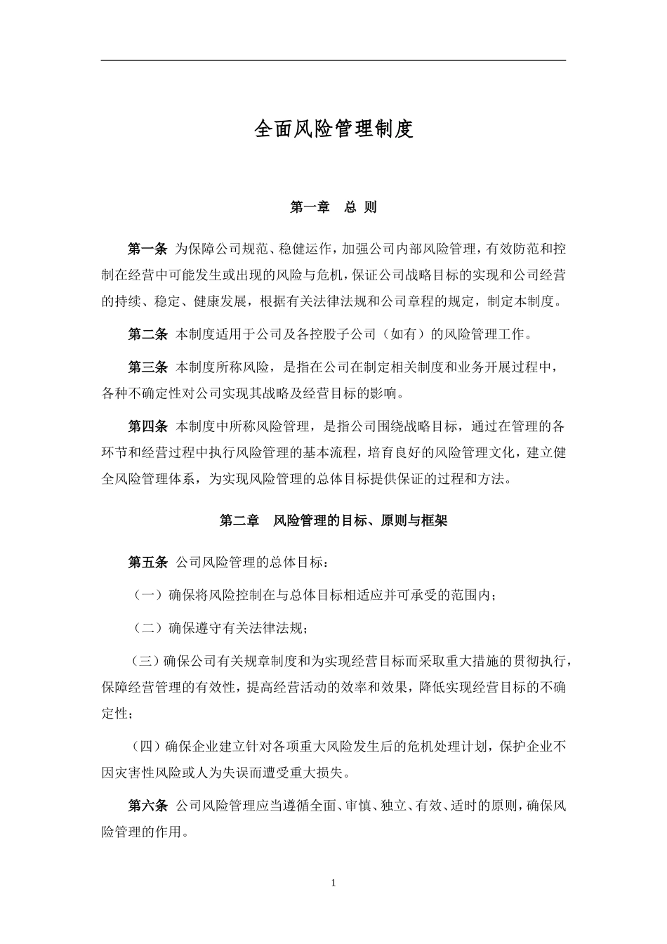 全面风险管理制度_第1页