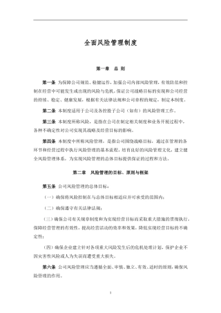 全面风险管理制度