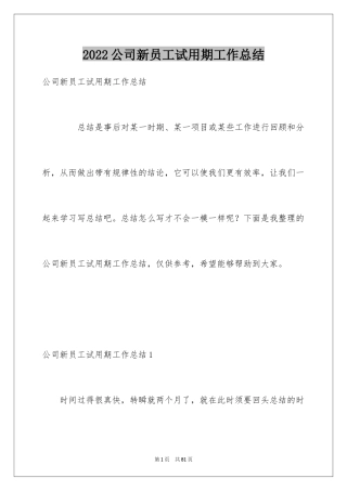 2024公司新员工试用期工作总结_5