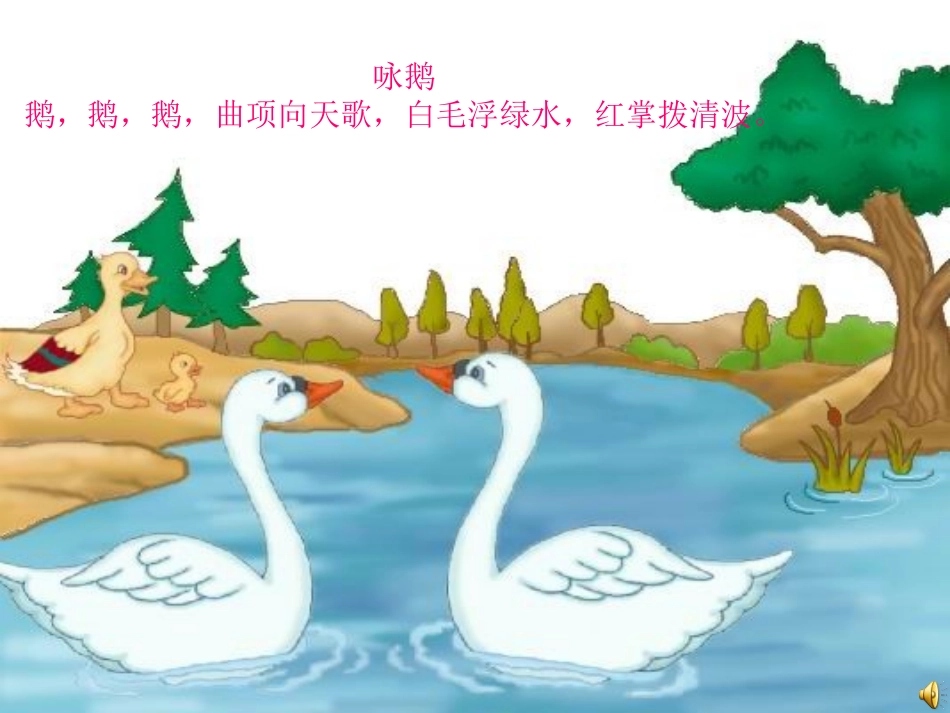 写一种小动物作文指导_第1页