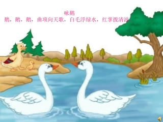 写一种小动物作文指导