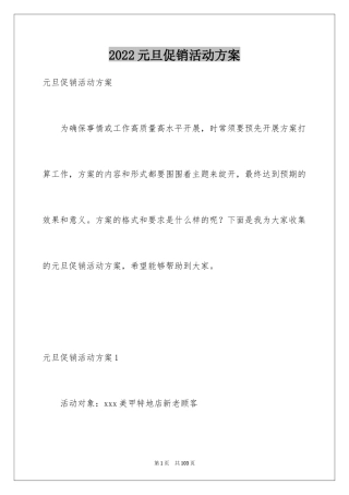 2024元旦促销活动方案_2