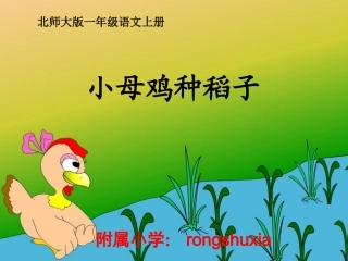 《小母鸡种稻子》课件