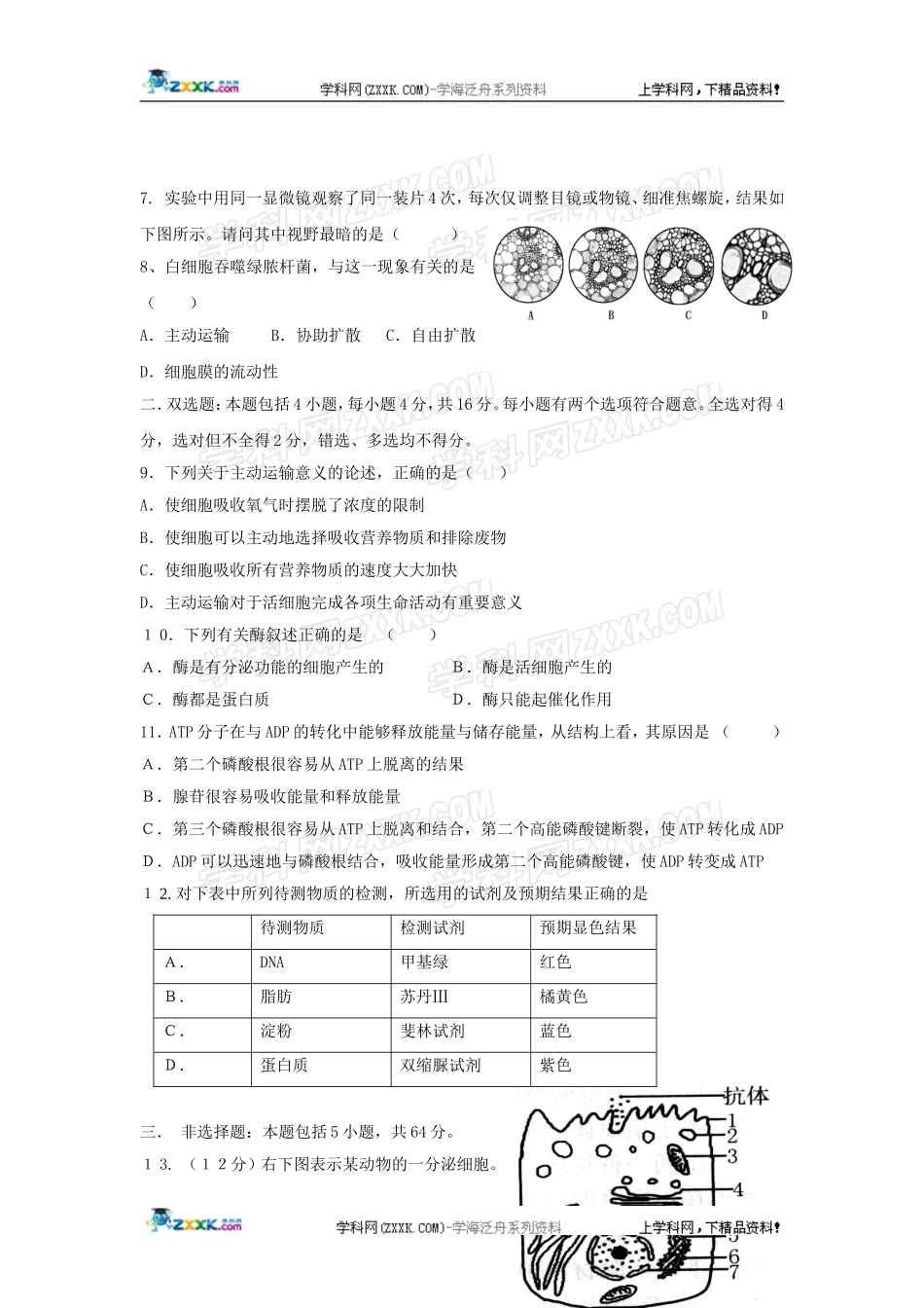 广东省湛江一中09-10学年高一上期第二次月考（生物）_第2页