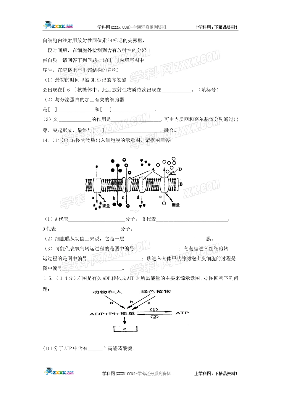 广东省湛江一中09-10学年高一上期第二次月考（生物）_第3页