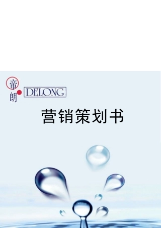 某公司营销策划书