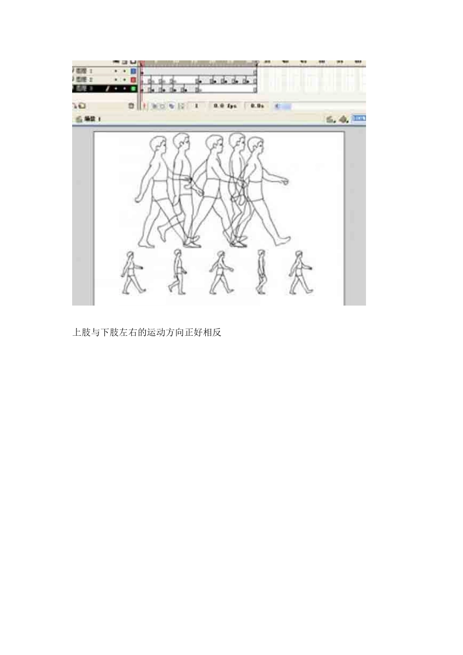 人侧面走路动画制作与走路动作分解_第3页