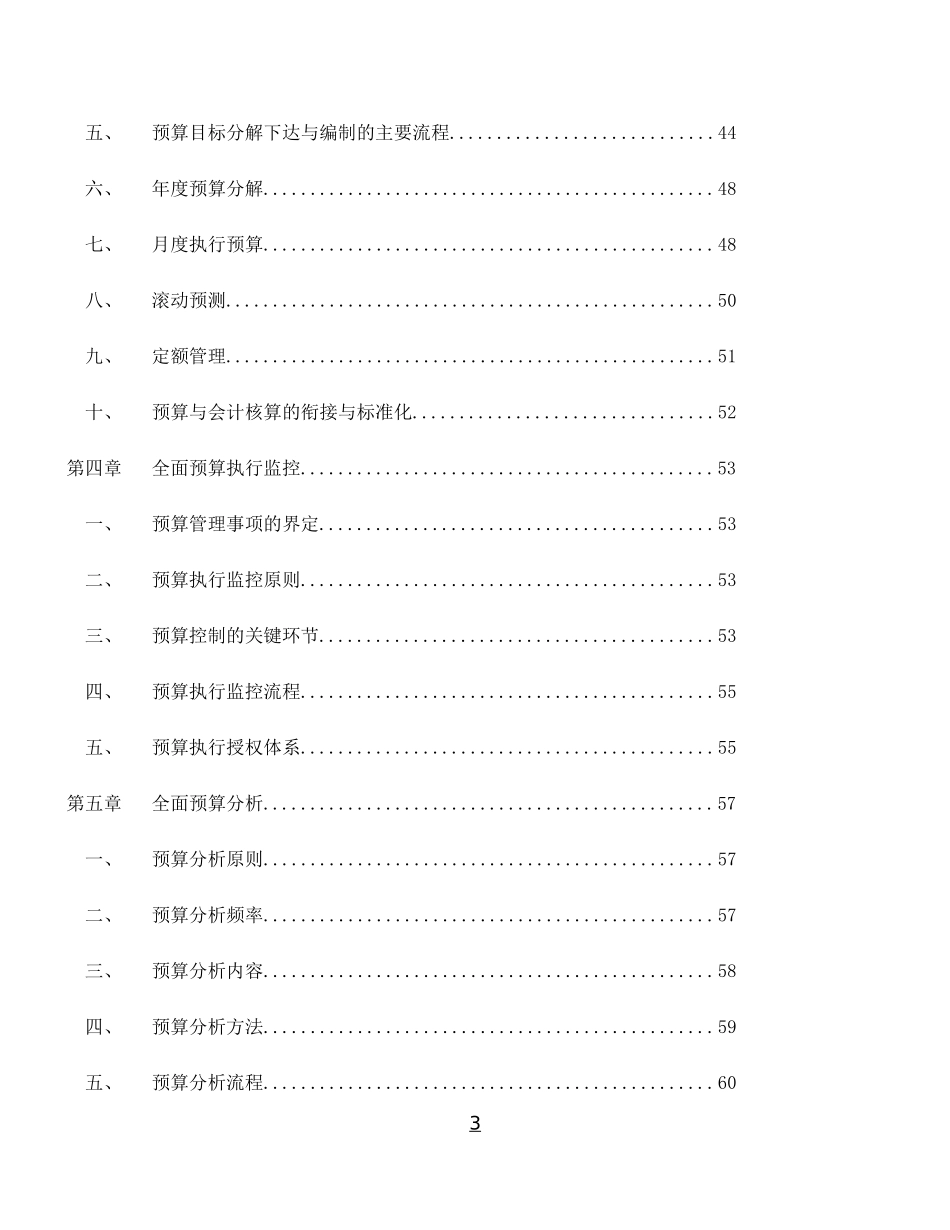 全面预算管理手册_第3页