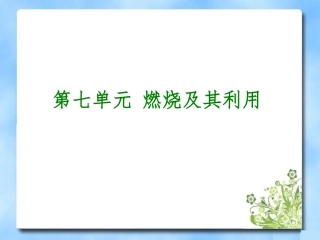 《燃料及其利用》复习课件1