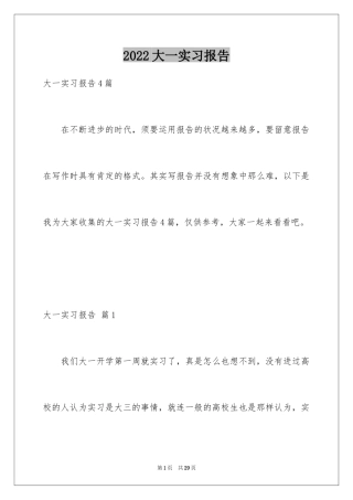 2024大一实习报告