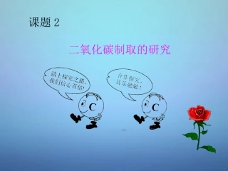 广东省河源市南开实验学校九年级化学上册6.2二氧化碳制取的研究课件新版新人教版