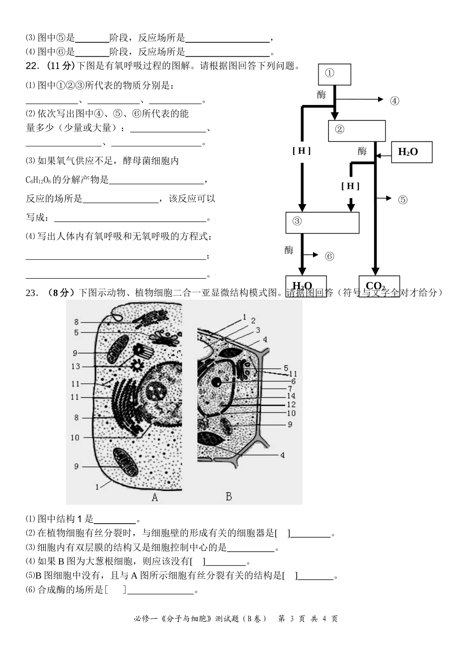 分子与细胞模块检测题（B卷）_第3页