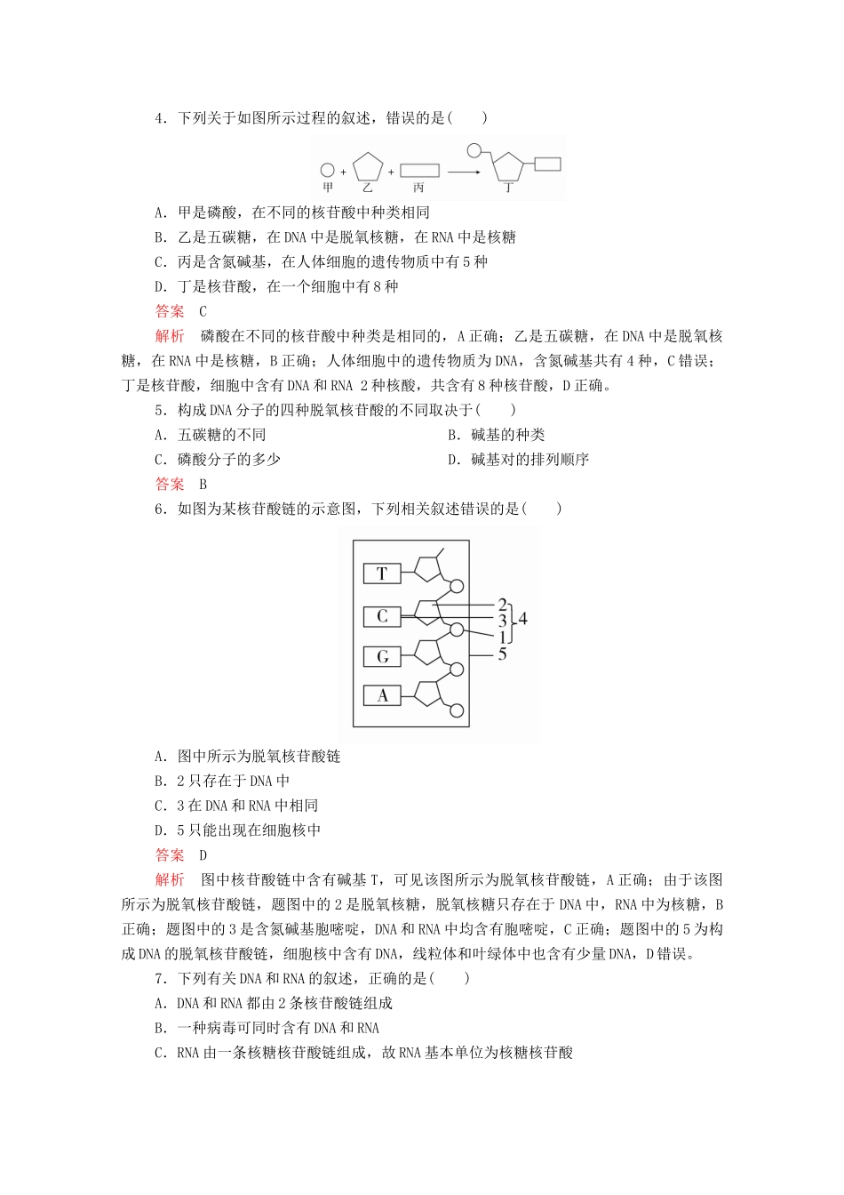 高中生物 第2章 第5节 核酸是遗传信息的携带者学案 新人教版必修1-新人教版高中必修1生物学案_第2页
