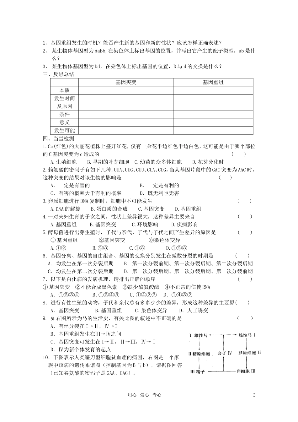 山东临清市高中生物 第五章第1节《基因突变和基因重组》导学案 新人教版必修2_第3页