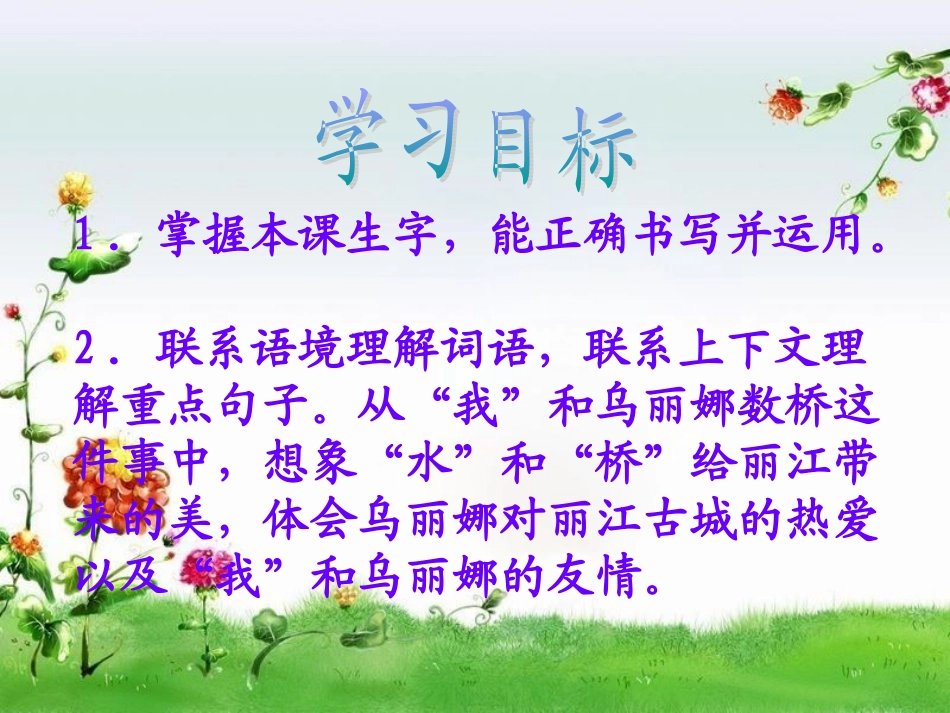 (西师大版)五年级语文下册课件_我和乌丽娜1_第2页